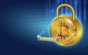 What Are Privacy Coins in Cryptocurrency?
